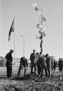 127403 Afbeelding van het planten van een boom door burgemeester mr. C.J.A. de Ranitz met hulp van enkele ...